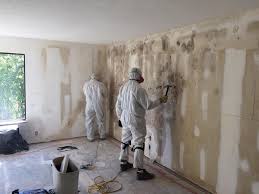 Why You Should Choose Our Mold Remediation Services in Vienna, GA